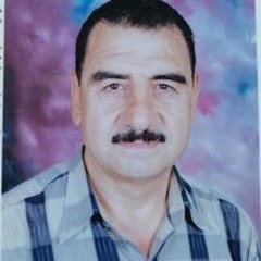 محمد السباعى