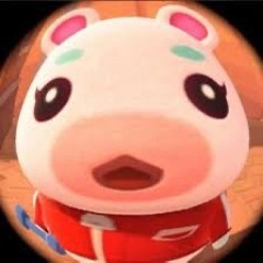 하하하하