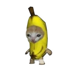 deezs nuts 420