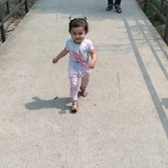 Nien Sobukesin