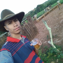 Reinaldo Alves