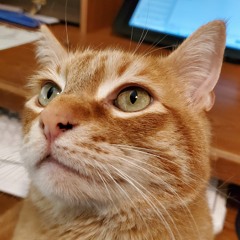 StinkyMonkey