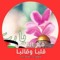 Hadeer Abdalla