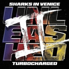Sharks In Venice
