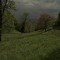 arufleur