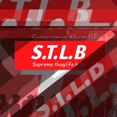 STLB Music Entertainment