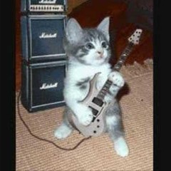 A Cat with a Guitar