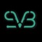 SVB.co
