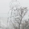 ぴにたー