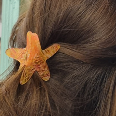 ✨