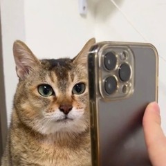 yes