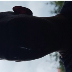 Deni Deni