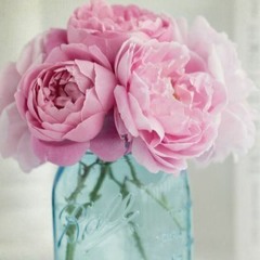 User 196380804