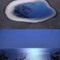 skymad