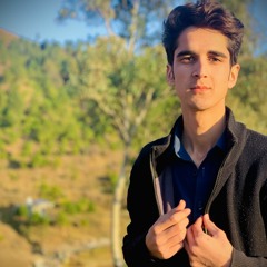 Sayed Aamir