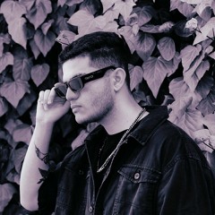 shahin_ai