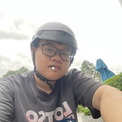 dj Anh Tuan