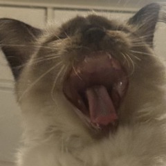 charchar