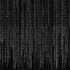 INTO THE MATRIX