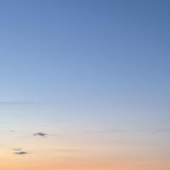 月城さき
