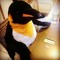 Chenguin