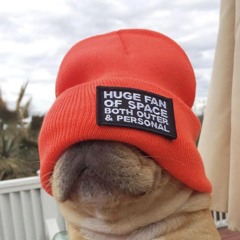 Lady.Wumderland