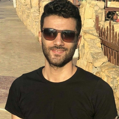 ahmed abdelhakim’s avatar