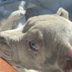 JeremiahkDotToTactSpinEverthingWithPeanutButter19x