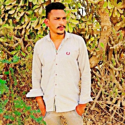 Shahzad malik aliee’s avatar