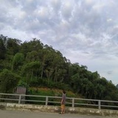Linh Tẹt