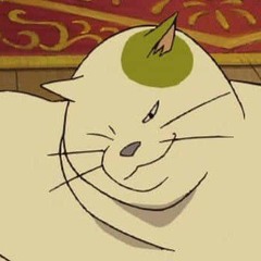king cat of all cats [nice]