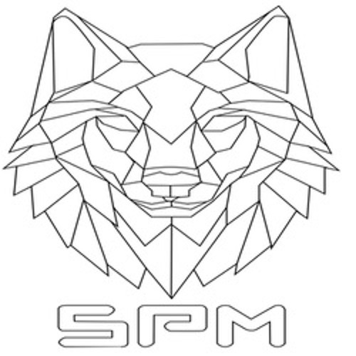SPM - Sic Parvis Magna’s avatar