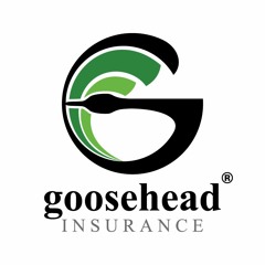 Goosehead Insurance