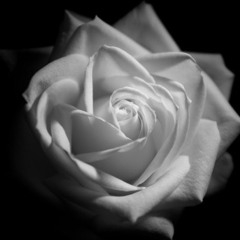 Sianan Mharie Duncan