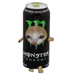 your pet