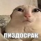 102ZAKLADCHIK