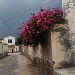 TxtViolet