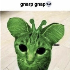 Homelessbannanagaming