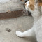 온
