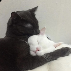 별
