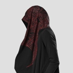 Elusive Nomad
