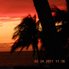 𝑴𝑳𝑬𝑰𝑴𝑨