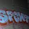 spent1ne