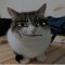 PettyPineNeedle :D