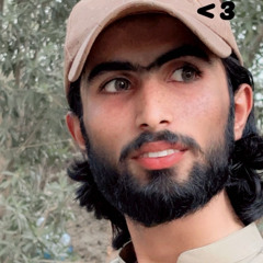 Momin kalper