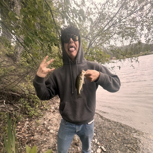 Stream TREE music | Listen to songs, albums, playlists for free on ...