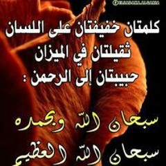 Hamo Kamel Abaza