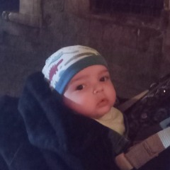 tony tony adel