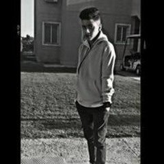 يوسف الاسد