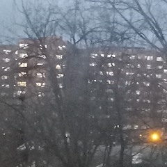 "૮₍  ˶¬`‸´¬˶ ₎ა  ᔆᵗͬᵃʸ₊˚⊹ ᰔ